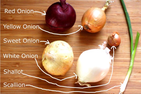 Kraken darknet onion